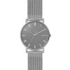 Cinturino per orologio Skagen SKW6428 Milanese Acciaio 20mm