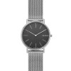 Cinturino per orologio Skagen SKW6483 Milanese Acciaio 20mm