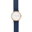 Cinturino per orologio Skagen SKW2838 Pelle Blu 14mm